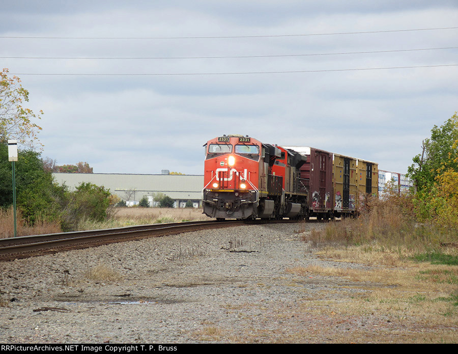 CN 2231 and CN 8003